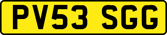 PV53SGG