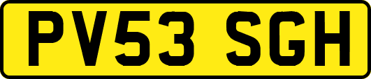 PV53SGH