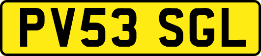 PV53SGL
