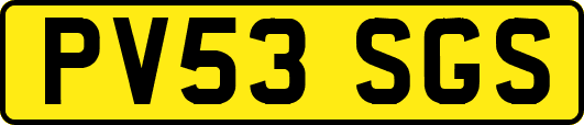 PV53SGS
