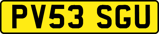 PV53SGU