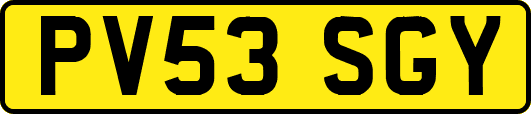 PV53SGY