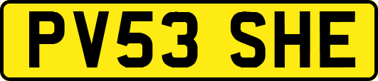 PV53SHE