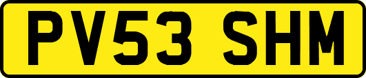 PV53SHM