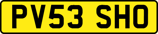 PV53SHO
