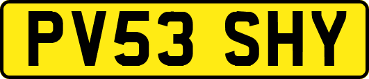 PV53SHY