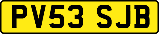 PV53SJB