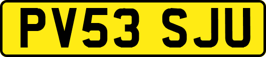 PV53SJU