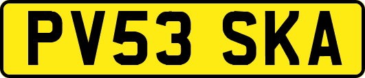 PV53SKA