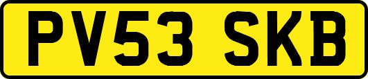 PV53SKB