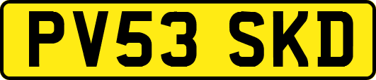 PV53SKD