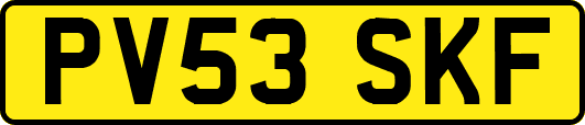 PV53SKF