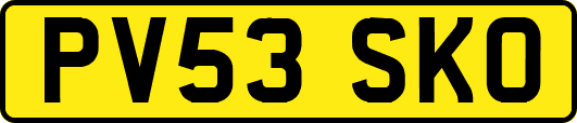 PV53SKO