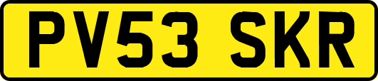 PV53SKR