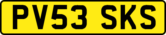 PV53SKS