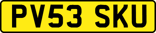 PV53SKU