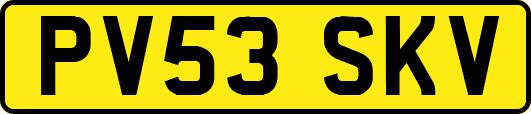 PV53SKV