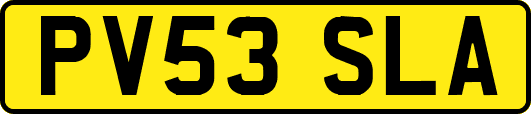 PV53SLA