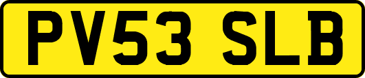PV53SLB