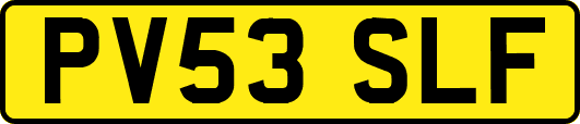 PV53SLF