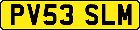 PV53SLM