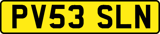 PV53SLN