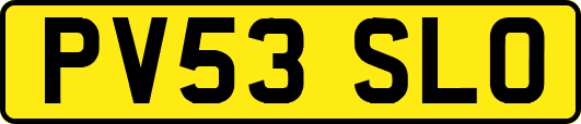PV53SLO