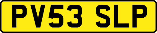 PV53SLP