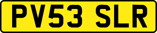 PV53SLR