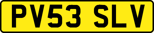 PV53SLV