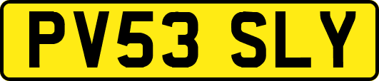 PV53SLY