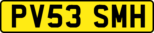 PV53SMH