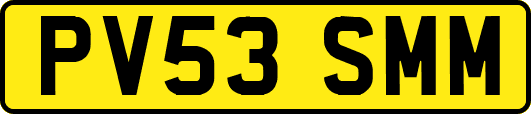 PV53SMM