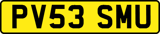 PV53SMU