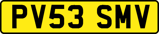 PV53SMV