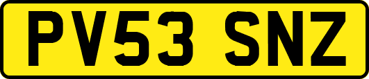 PV53SNZ