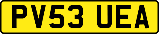 PV53UEA