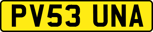 PV53UNA