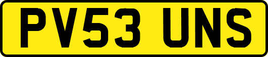 PV53UNS
