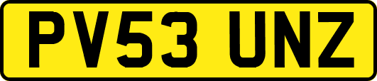 PV53UNZ