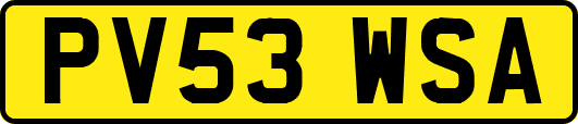 PV53WSA