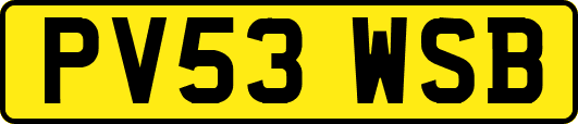 PV53WSB