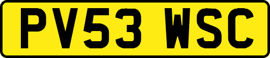 PV53WSC