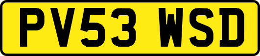 PV53WSD