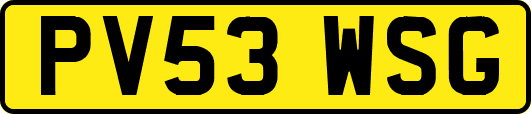 PV53WSG