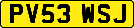 PV53WSJ