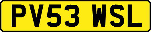 PV53WSL