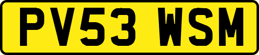 PV53WSM