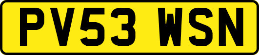 PV53WSN