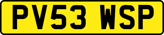 PV53WSP